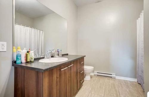 1 bedroom apartment for rent in Gatineau — photo 6