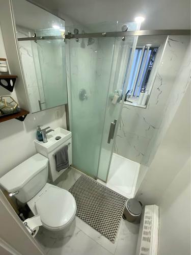 Appartement de 1 chambre à louer à Montreal - Le Plateau-Mont-Royal — photo 2