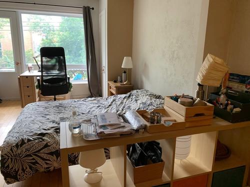 Studio for rent in Montreal - Le Plateau-Mont-Royal — photo 2
