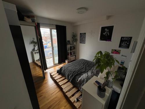 1 bedroom apartment for rent in Montreal - Villeray–Saint-Michel–Parc-Extension — photo 5