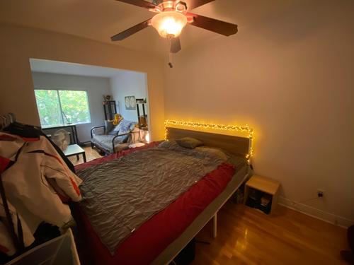 1 bedroom apartment for rent in Montreal - Rosemont–La Petite-Patrie — photo 3