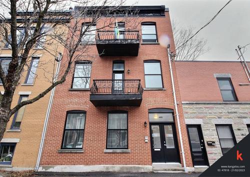 1 bedroom apartment for rent in Montreal - Le Plateau-Mont-Royal — photo 12