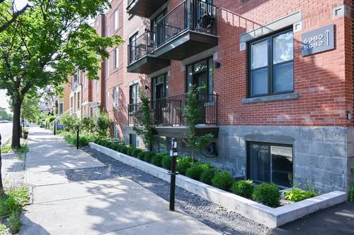 Appartement de 1 chambre à louer à Montreal - Le Plateau-Mont-Royal — photo 5