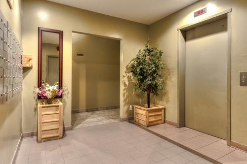 Appartement de 1 chambre à louer à Montreal - Saint-Laurent — photo 2