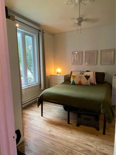 Appartement de 1 chambre à louer à Montreal - Rosemont–La Petite-Patrie — photo 3