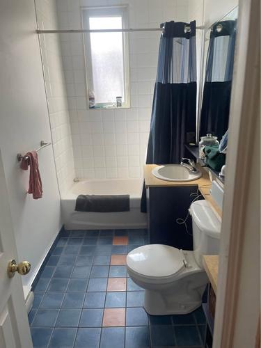 2 bedrooms apartment for rent in Montreal - Le Plateau-Mont-Royal — photo 7