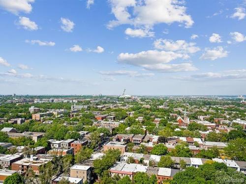 1 bedroom apartment for rent in Montreal - Le Plateau-Mont-Royal — photo 5