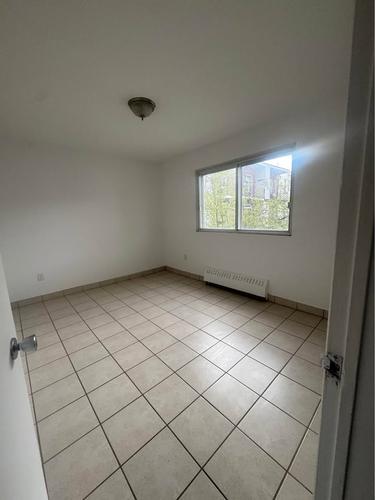 2 bedrooms apartment for rent in Montreal - Rosemont–La Petite-Patrie — photo 2