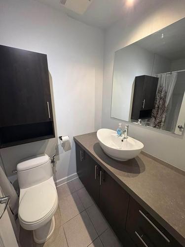 Appartement de 1 chambre à louer à Montreal - Rosemont–La Petite-Patrie — photo 5