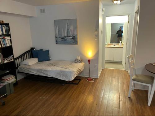Appartement de 1 chambre à louer à Gatineau — photo 3