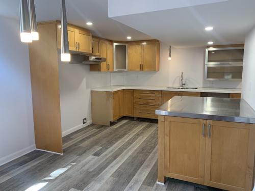 Appartement de 1 chambre à louer à Gatineau — photo 2