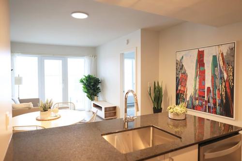 1 bedroom apartment for rent in Lévis — photo 3