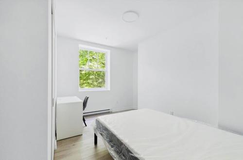 Appartement de 3 chambres à louer à Montreal - Ville-Marie — photo 3