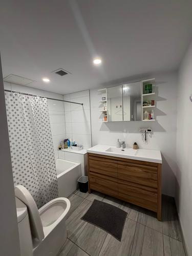 Appartement de 1 chambre à louer à Montreal - Le Plateau-Mont-Royal — photo 3