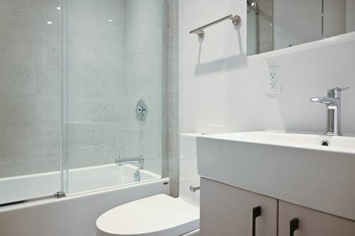 Appartement de 1 chambre à louer à Montreal - Le Plateau-Mont-Royal — photo 3
