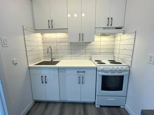 Appartement de 1 chambre à louer à Montreal - Le Plateau-Mont-Royal — photo 3