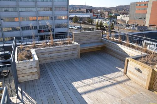 1 bedroom apartment for rent in Montreal - Rosemont–La Petite-Patrie — photo 9