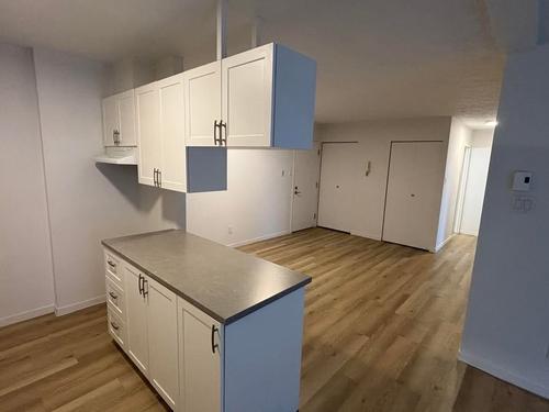 Appartement de 2 chambres à louer à Sherbrooke — photo 4
