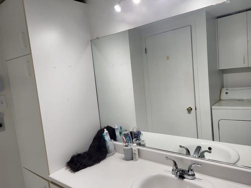 Appartement de 2 chambres à louer à Québec - La Cité-Limoilou — photo 19