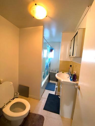 Appartement de 1 chambre à louer à Gatineau — photo 4