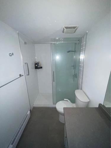 Appartement de 2 chambres à louer à Québec - Sainte-Foy–Sillery–Cap-Rouge — photo 12
