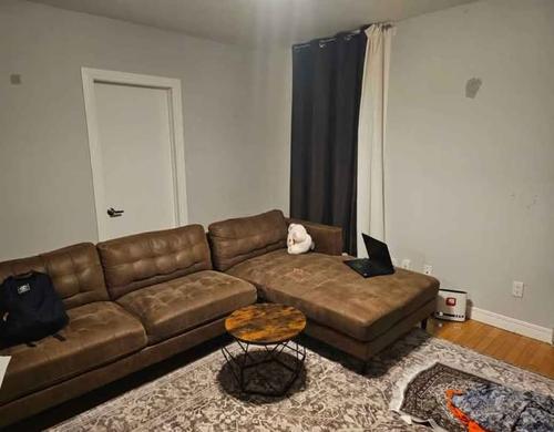 Appartement de 1 chambre à louer à Québec - La Cité-Limoilou — photo 2