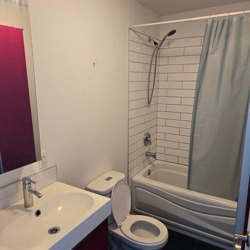 Appartement de 2 chambres à louer à Montreal - Rosemont–La Petite-Patrie — photo 6