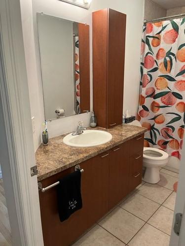 Appartement de 2 chambres à louer à Québec - La Cité-Limoilou — photo 12