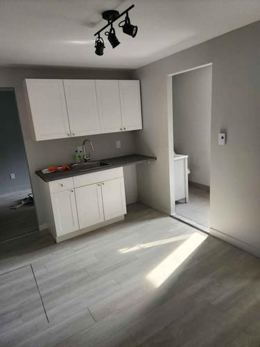 1 bedroom apartment for rent in Montréal — photo 7