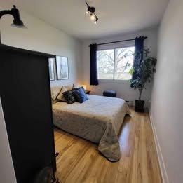 Appartement de 3 chambres à louer à Longueuil — photo 18