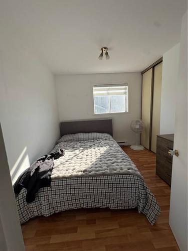 2 bedrooms apartment for rent in Lévis — photo 4