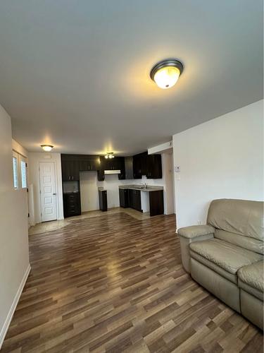 Appartement de 1 chambre à louer à Gatineau — photo 4