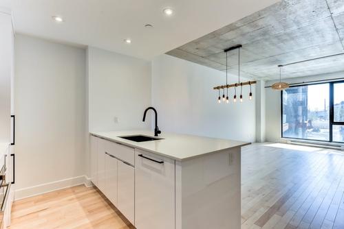 1 bedroom apartment for rent in Montreal - Le Sud-Ouest — photo 18