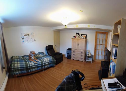 Appartement de 2 chambres à louer à Québec - Sainte-Foy–Sillery–Cap-Rouge — photo 6