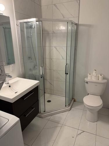 1 bedroom apartment for rent in Montreal - Le Plateau-Mont-Royal — photo 4