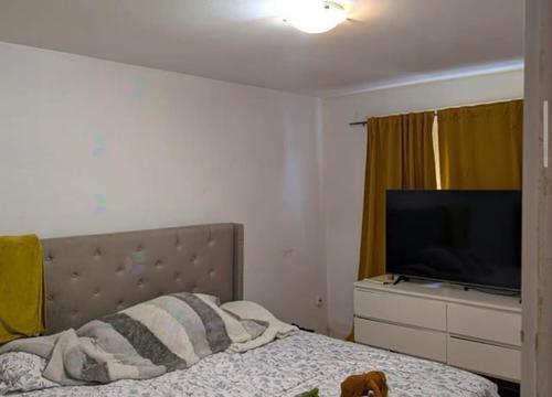 Appartement de 3 chambres à louer à Laval — photo 4