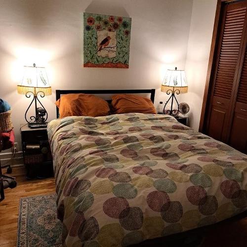 2 bedrooms apartment for rent in Montreal - Le Plateau-Mont-Royal — photo 9