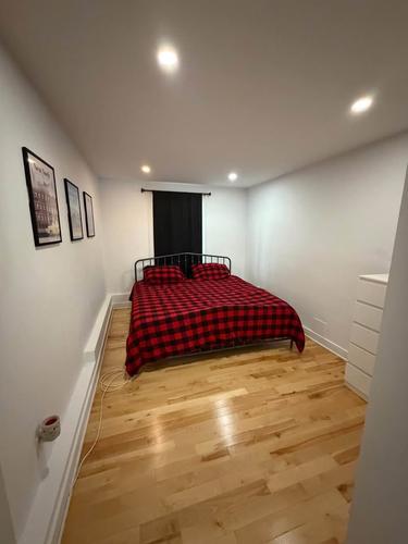 1 bedroom apartment for rent in Montreal - Ville-Marie — photo 8