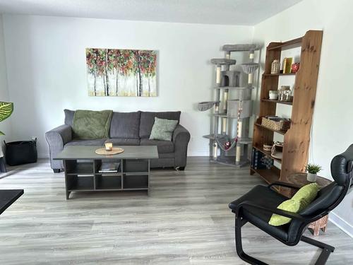Appartement de 2 chambres à louer à Gatineau — photo 7