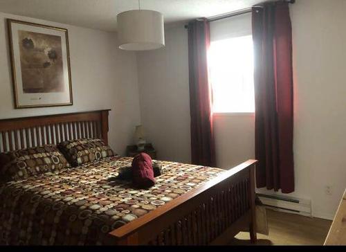 Appartement de 2 chambres à louer à Gatineau — photo 4