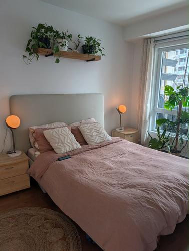 Appartement de 1 chambre à louer à Montreal - Ville-Marie — photo 4