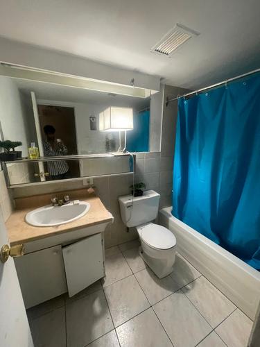 1 bedroom apartment for rent in Montreal - Le Plateau-Mont-Royal — photo 4