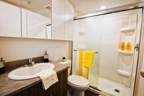 Studio for rent in Montreal - Ville-Marie — photo 5