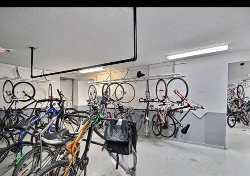 Appartement de 2 chambres à louer à Gatineau — photo 12