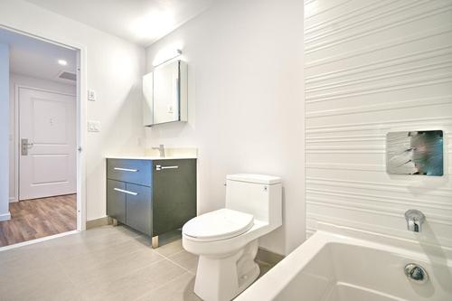 1 bedroom apartment for rent in Montreal - Ville-Marie — photo 9