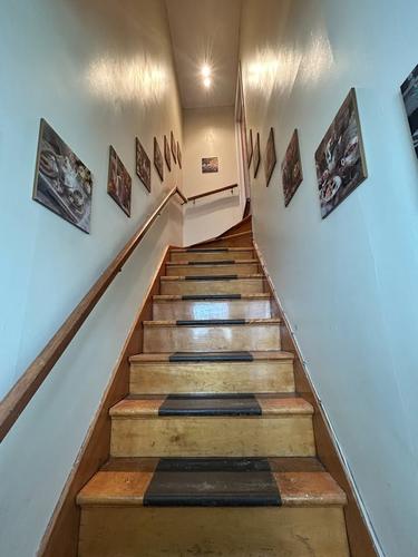 2 bedrooms apartment for rent in Québec - La Cité-Limoilou — photo 10