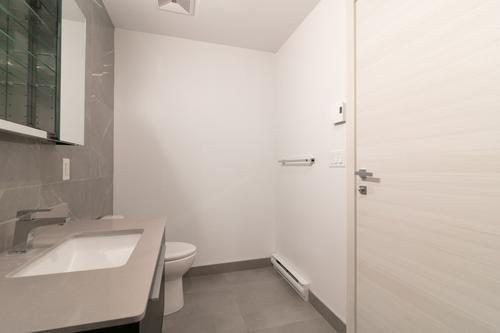 Appartement de 1 chambre à louer à Montreal - Le Plateau-Mont-Royal — photo 8
