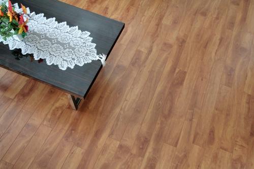 2 bedrooms apartment for rent in Lévis — photo 10
