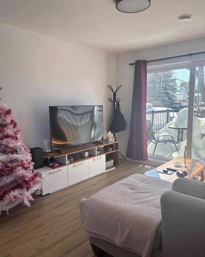 2 bedrooms apartment for rent in Lévis — photo 7