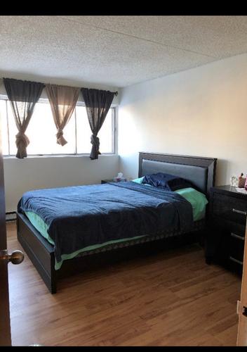 1 bedroom apartment for rent in Montreal - Saint-Laurent — photo 3